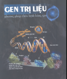 Ebook Gen trị liệu (phương pháp chữa bệnh bằng gen): Phần 2 - PGS.TS. Nguyễn Văn Kình